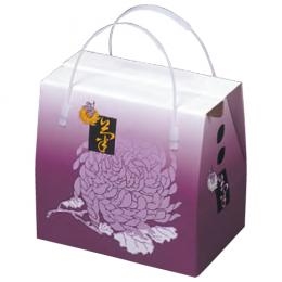 K-345 菊(小)